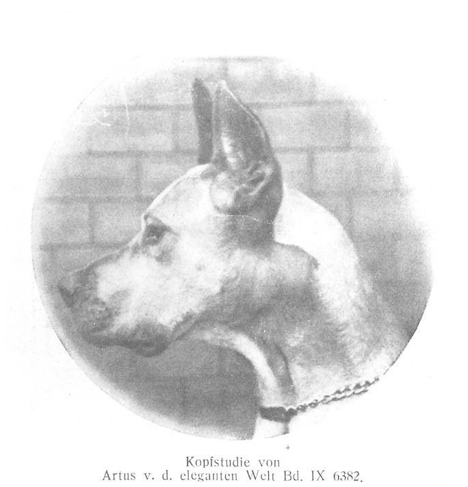 Artus vd Eleganten Welt